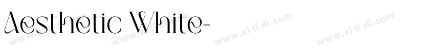 Aesthetic White字体转换